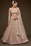 Royal Beige Marriage Lehenga Choli with Dupatta Clothsvilla
