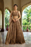 Exquisite Brown Net Lehenga Choli Set with Sequins and Jari Embroidery