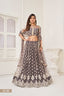 Space Gray Sophisticated Butterfly Net Lehenga Set with White Thread and Sequence Embroidery