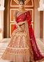 Crimson Red Velvet Bridal Lehenga Choli with Embroidery & Hand work Clothsvilla