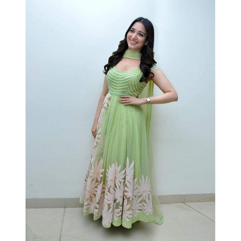Gorgeous Light Green Thread Embroidered Ready-Made Pleated Gown ClothsVilla