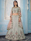 Grey Designer Semi Stitched Lehenga With Unstitched Blouse Clothsvilla