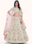 Net A Line Lehenga Choli Clothsvilla