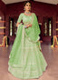 Green Resham Lehenga Choli Clothsvilla