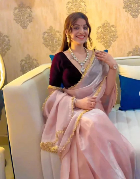 Organza Saree with Luxe Velvet Blouse ClothsVilla
