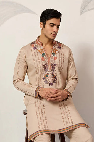 Premium Beige Embroidered V Neck Kurta Pant Set Clothsvilla
