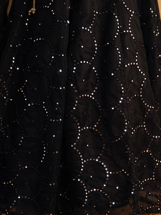 Mesmerizing Black Mirror Work Organza Lehenga Choli Steal the Spotlight at Receptions and Events ClothsVilla