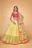 Yellow & Green Embroidered Sequin Lehenga Choli Set Cloth's Villa
