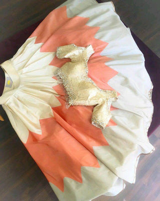 Cream Elegant Digital Print Tapeta Silk Lehenga with Dola Silk Sequins Work Blouse Clothsvilla