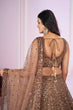 Load image into Gallery viewer, Brown Designer Embroidered Lehenga Choli Clothsvilla