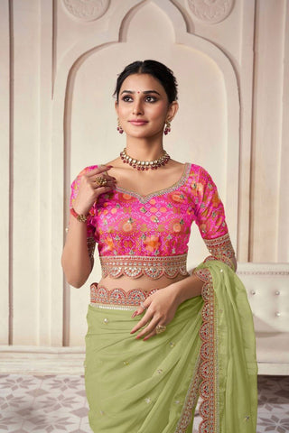 Pista Organza Cording Foil Embroidered Saree with Silk Digital Blouse ClothsVilla