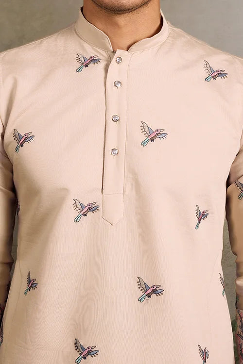 Beige Embroidered Work Beautiful Kurta for Men Clothsvilla