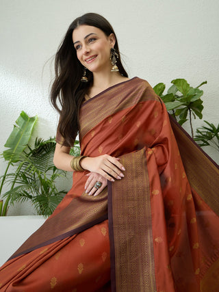 Amaira Soft Silk Saree for Wedding & Traditional Wear ClothsVilla