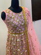 Load image into Gallery viewer, Baby Pink Elegant Festive Net Anarkali Set ClothsVilla