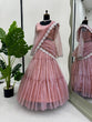 Load image into Gallery viewer, Baby Pink Ready-to-Wear Twill Organza Lehenga Saree ClothsVilla