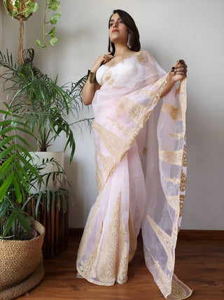 Baby Pink Semi-Pure Organza Saree with Exquisite Lucknowi Work & Matching Blouse ClothsVilla