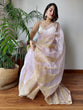 Load image into Gallery viewer, Baby Pink Semi-Pure Organza Saree with Exquisite Lucknowi Work &amp; Matching Blouse ClothsVilla