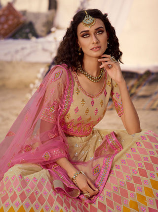 Beige Embroidered Organza Lehenga Clothsvilla