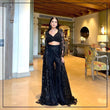 Load image into Gallery viewer, Black Ethereal Butterfly Net indo western ClothsVilla