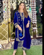 Load image into Gallery viewer, Blue Elegant Velvet Ensemble – Luxe Thread &amp; Sequin Work ClothsVilla