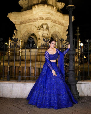 Blue Royal Butterfly Net Zari & Sequence Work Lehenga Set ClothsVilla