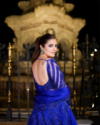 Blue Royal Butterfly Net Zari & Sequence Work Lehenga Set ClothsVilla