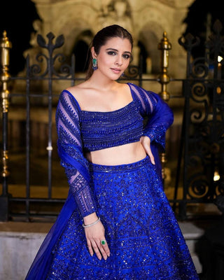 Blue Royal Butterfly Net Zari & Sequence Work Lehenga Set ClothsVilla