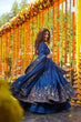 Load image into Gallery viewer, Blue Silk Sequins Embroidered Gown Set