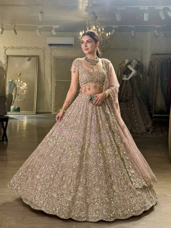 Blush Pink Net Lehenga with Dori & Zari Work ClothsVilla
