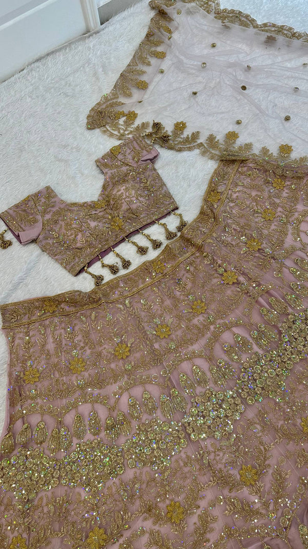 Blush Pink Net Lehenga with Dori & Zari Work ClothsVilla