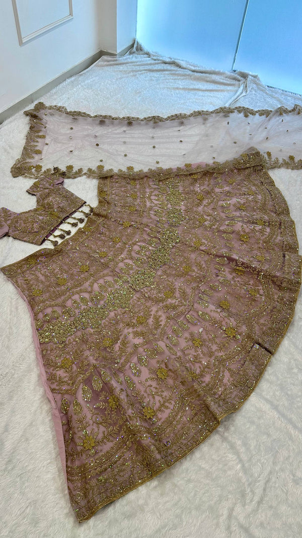 Blush Pink Net Lehenga with Dori & Zari Work ClothsVilla