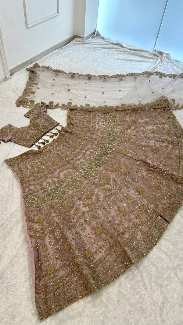 Blush Pink Net Lehenga with Dori & Zari Work ClothsVilla