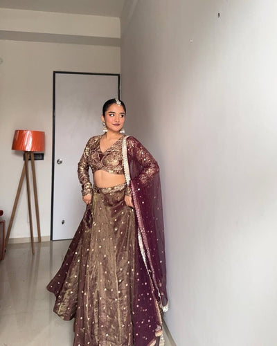 Brown Designer Jimi Choo Semi-Stitched Lehenga Choli Set with Butterfly Net Dupatta ClothsVilla