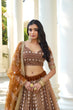 Load image into Gallery viewer, Brown Elegant Butterfly Net Lehenga with Intricate Embroidery