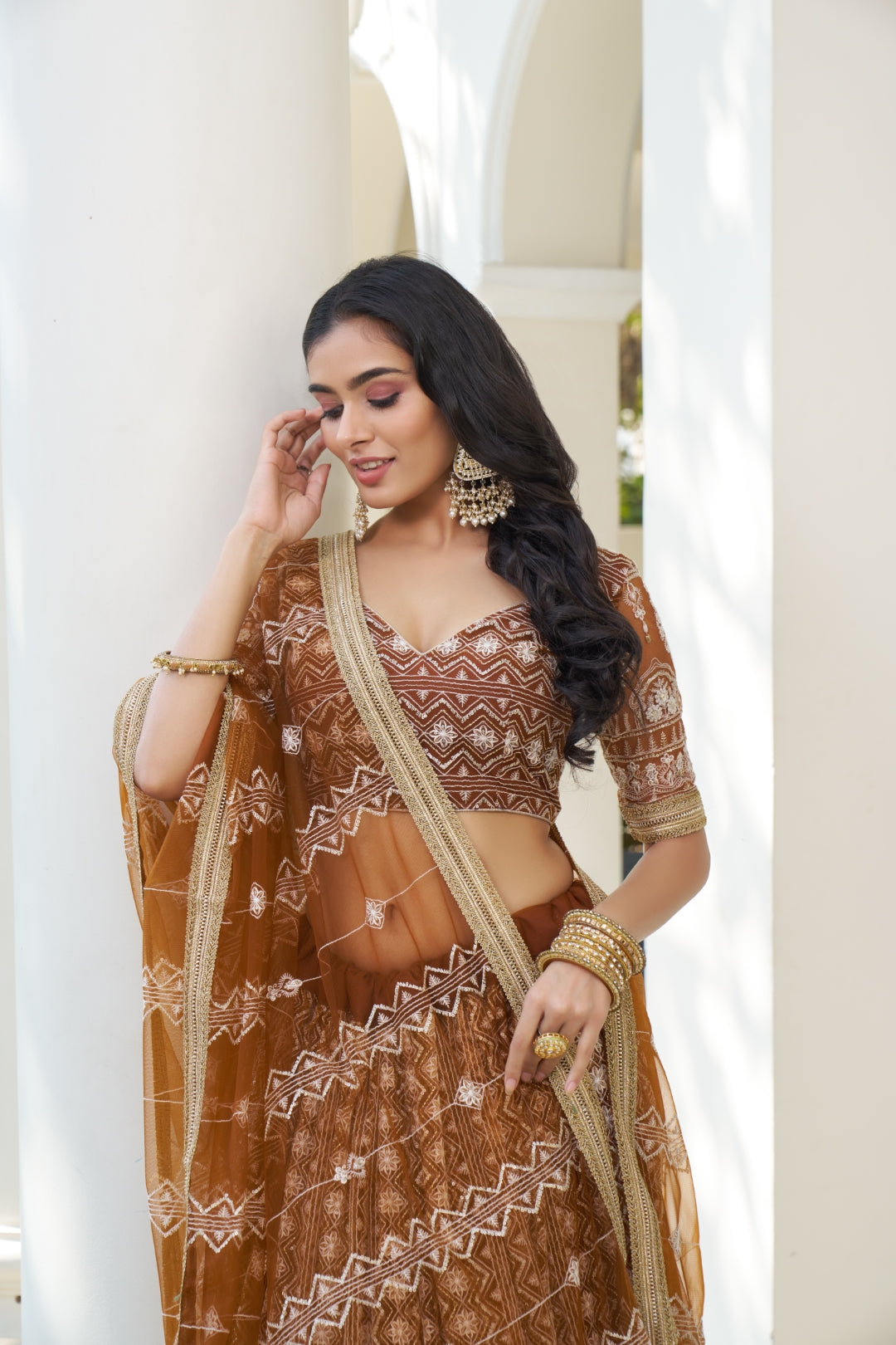 Brown Elegant Butterfly Net Lehenga with Intricate Embroidery