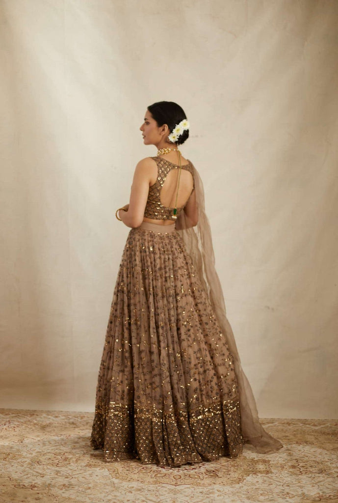 Brown Elegant Net Lehenga Set with Heavy Sequins & Jari Embroidery – Semi-Stitched Lehenga & Unstitched Choli ClothsVilla