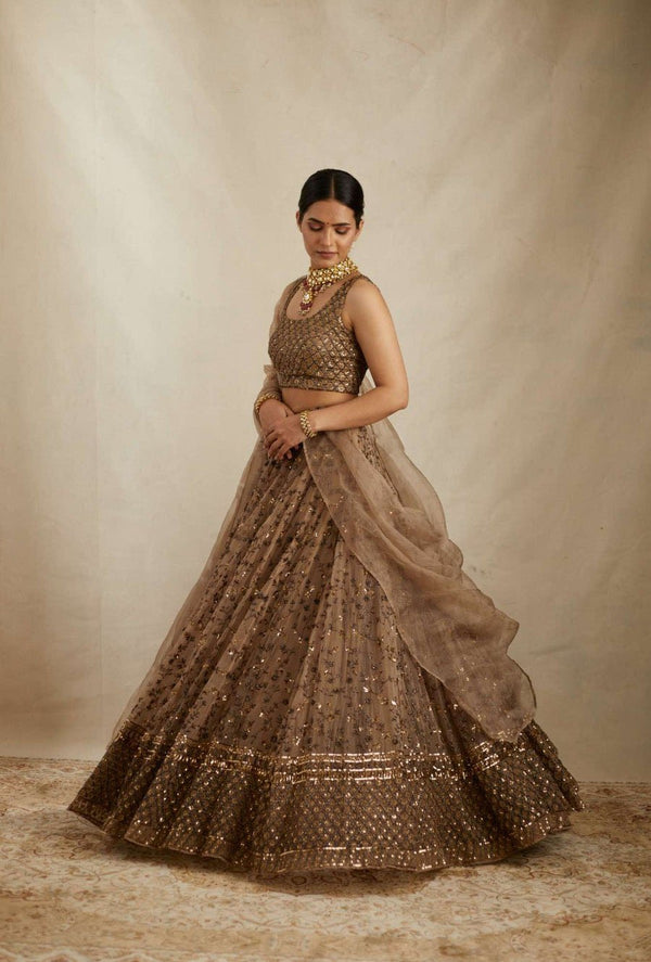 Brown Elegant Net Lehenga Set with Heavy Sequins & Jari Embroidery – Semi-Stitched Lehenga & Unstitched Choli ClothsVilla