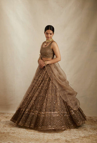 Brown Elegant Net Lehenga Set with Heavy Sequins & Jari Embroidery – Semi-Stitched Lehenga & Unstitched Choli ClothsVilla