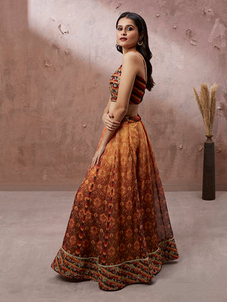 Brown Organza Floral Print and sequinse work Semi-Stitched Lehenga choli & Dupatta ClothsVilla