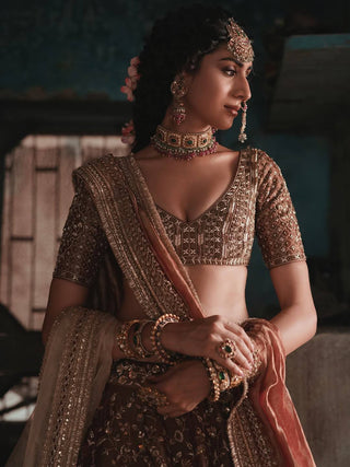 Brown Silk Dori & Thread Work Lehenga set ClothsVilla