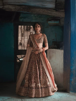 Brown Silk Dori & Thread Work Lehenga set ClothsVilla