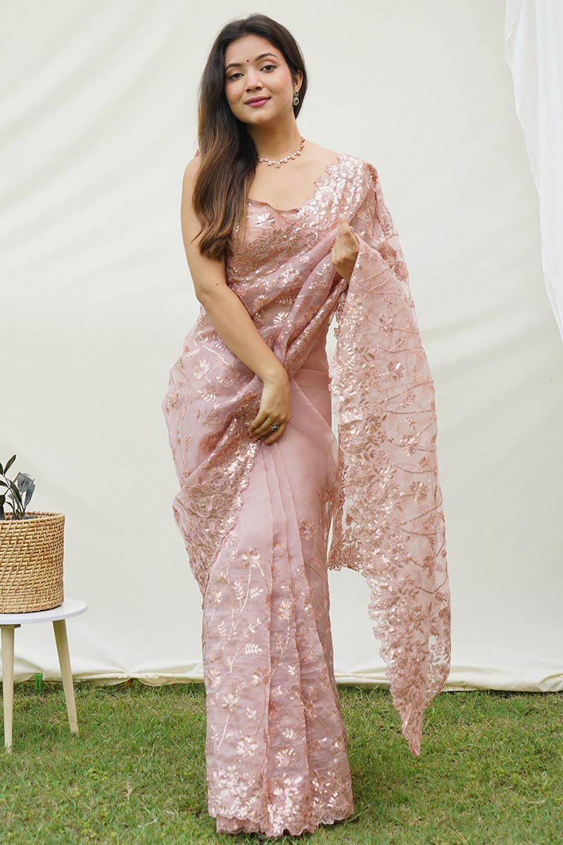Brown Soft Pure Organza Saree with Shimmering Viscose Embroidery ClothsVilla.com