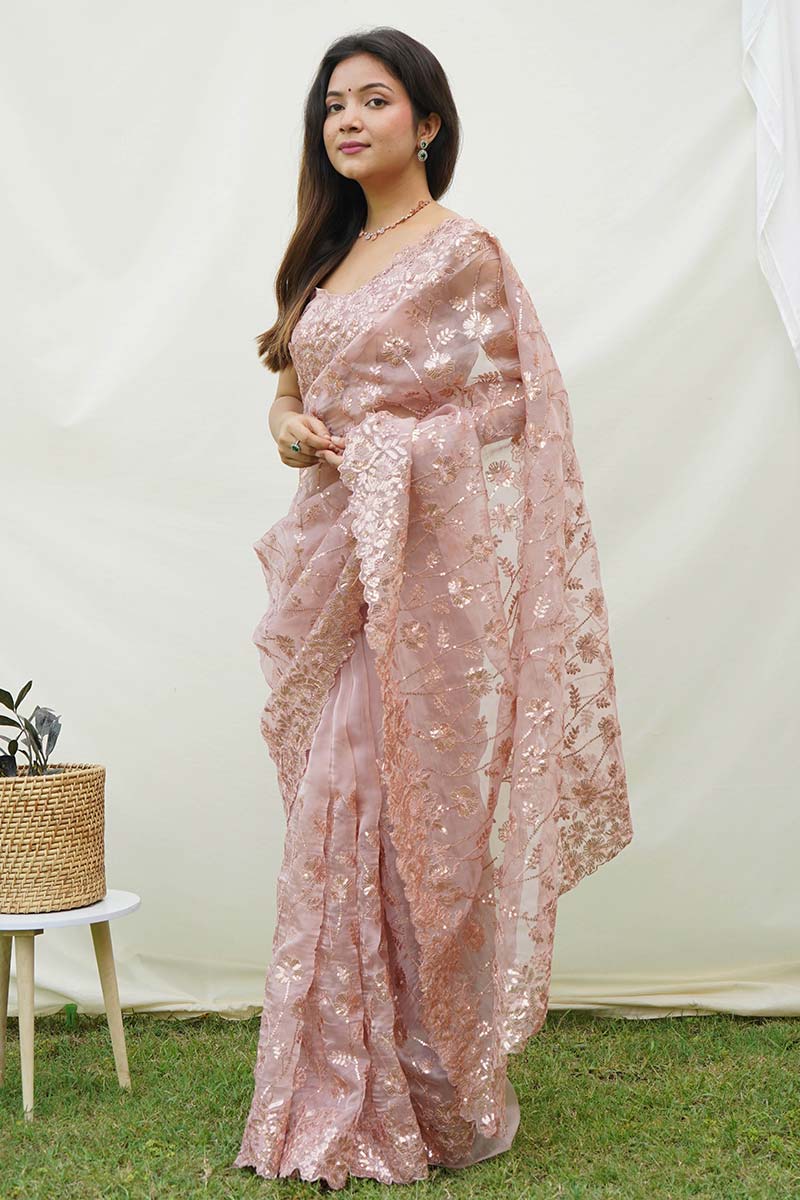 Brown Soft Pure Organza Saree with Shimmering Viscose Embroidery ClothsVilla.com