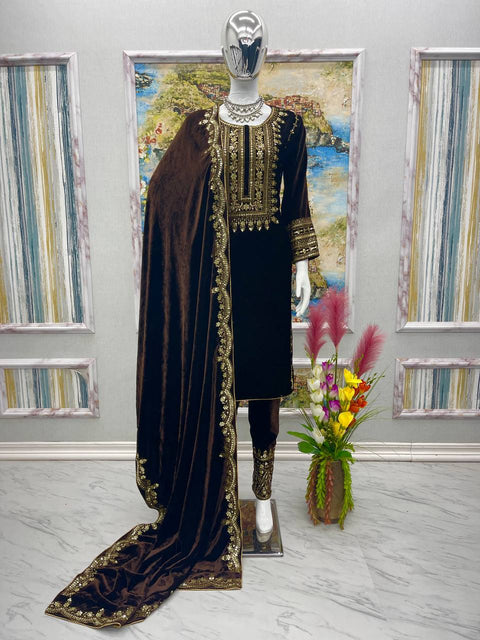 Brown Stunning Look Collection - Elegant Velvet Ensemble Clothsvilla Main image