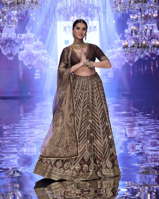 Coffee Silk Embroidered Lehenga Choli Set ClothsVilla
