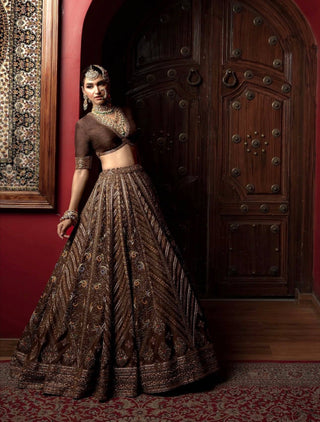 Coffee Silk Embroidered Lehenga Choli Set ClothsVilla