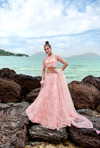 Coral Net Multi Sequins with heavy Zarkan embroidery Semi-Stitched Lehenga choli & Dupatta ClothsVilla