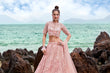 Load image into Gallery viewer, Coral Net Multi Sequins with heavy Zarkan embroidery Semi-Stitched Lehenga choli &amp; Dupatta ClothsVilla