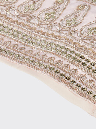 Cream colour Organza Floral design digital print Semi-Stitched Lehenga choli & Dupatta ClothsVilla