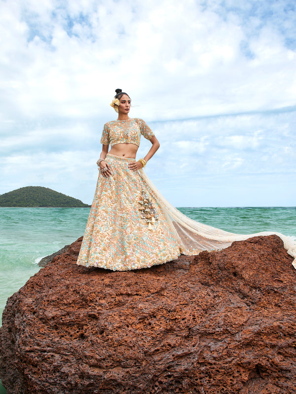 Cream Net Multi colour Sequins, Zarkans and thread embroidery Semi-Stitched Lehenga choli & Dupatta Clothsvilla